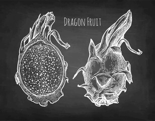 Wall Mural - dragon fruit and half chalk sketch.