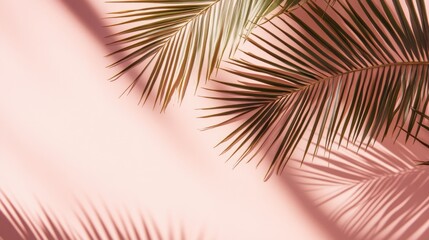 Poster - Elegant Palm Leaves on Soft Pink Background with Beautiful Shadows