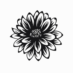 Poster - Black and white flower floral vector illustration blossom bloom botanical petal design graphic art drawing silhouette