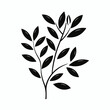© Christopher - Black leaves branch foliage botanical nature plant flora design element art illustration graphic vector drawing