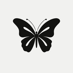 Poster - Butterfly vector illustration drawing silhouette insect design graphic art nature animal beautiful fly wings