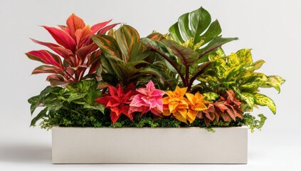 Poster - Colorful Tropical Plants in a White Rectangular Planter, Representing Home Decor and Sustainable Living, Perfect for Interior Design and Garden Inspiration : Generative AI