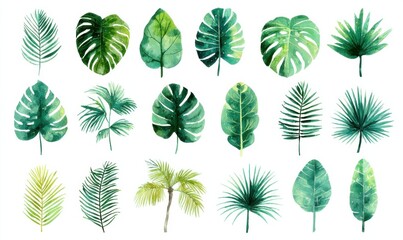 Poster - Watercolor Tropical Leaves Collection on White, Ideal for Summer Decor and Botanical Illustration Projects, Showcasing Nature's Beauty and Artistic Expression : Generative AI