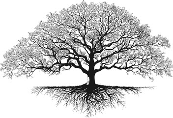 Silhouette of a tree with bare branches and roots. Vector illustration