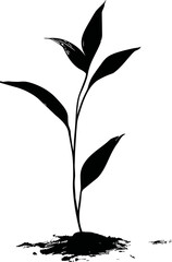 Poster - Black silhouette of sprouting plant with leaves. Vector illustration