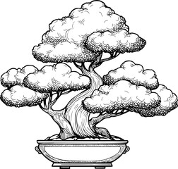 Poster - Detailed black and white illustration of a bonsai tree in a decorative pot. Vector illustration