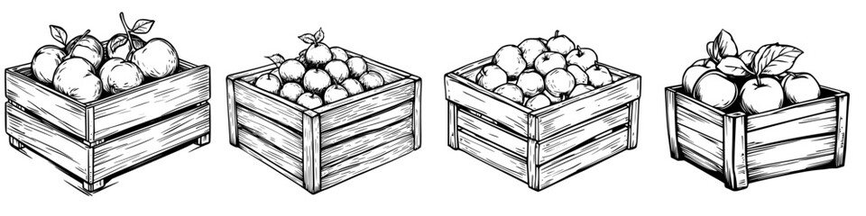 Poster - Fruit icon set featuring boxes filled with various fruits in detailed sketches suitable for agricultural or market themes