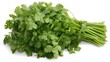 © Nipa - Fresh Cilantro Bunch Green Herb Leaves Food Ingredient