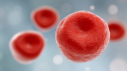 Aufkleber - Microscopic Marvel: A captivating macro shot unveils the intricate beauty of human blood cells, showcasing their essential role in life.