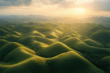 Aufkleber - Green rolling hills under soft sunlight creating a serene landscape in a tranquil natural setting