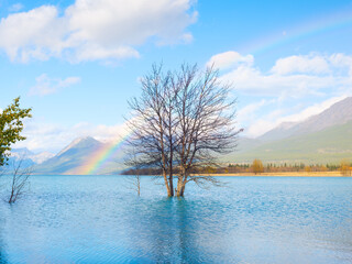 Wall Mural - banff national park, alberta, canada. rainbow. reflections on the surface of the water. mountains an