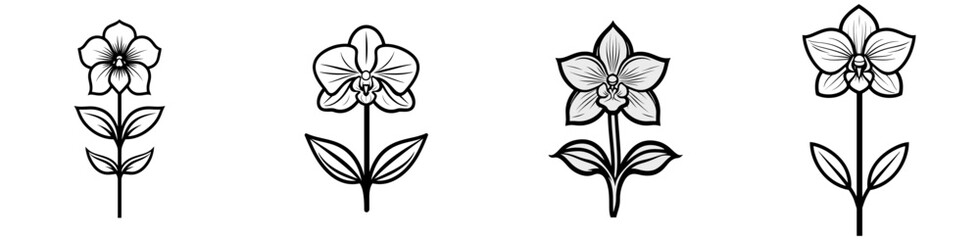 Poster - Iconic line art of various flowers displayed in isolated form showcasing their beauty and simplicity