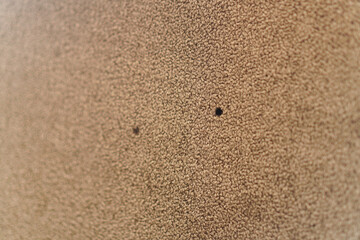 Poster - A textured backdrop with varied depths creates a tactile impression. The irregular pattern and warm color suggest natural materials and handcrafted quality, ideal for textural use or backgrounds.