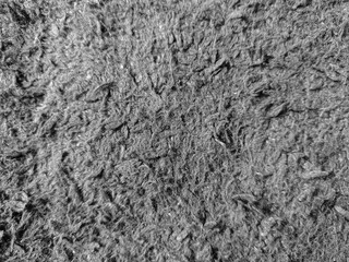 Poster - Monochrome detailed close-up of a textured surface reveals a woven and dense composition, ideal for backgrounds, abstract designs, and creating tactile sensations in visual projects.