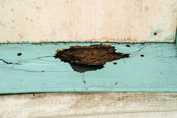 Poster - Weathered wood showing decay and damage, creating textures and patterns. The flaking paint and exposed wood grain create an abstract and intriguing composition, great for use as a background.