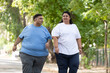 © GAJENDRRA BHATI  - Obesity Concept- Indian couple walking together at summer park. Plus size friends Fitness and healthy lifestyle. Fat man and woman outdoor.