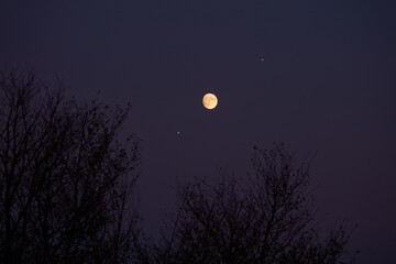 Canvas Print - full moon, stars, planets and landscape scenery silhouettes.