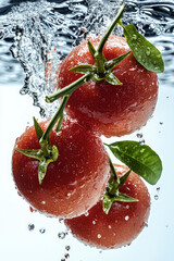Aufkleber - Fresh red tomatoes with green leaves splashing in clear water, vibrant and refreshing, showing water droplets and motion