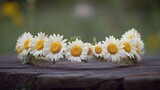 A delicate daisy crown a symbol of summer s embrace and youthful innocence resting on weathered wood against a softly