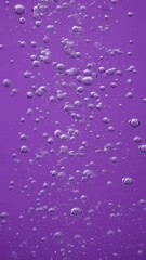 Poster - Floating Bubbles Rising Upward Against a Purple Background, Perfect for Vertical Video Projects, Streamers, and Social Media Stories