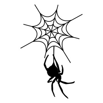 vector halloween spider web background, card, banner.