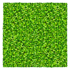 Fototapete - Green grass field background. Texture of green lawn grass. Green grass seamless texture. Illustration graphic.