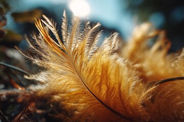 Aufkleber - Golden feathers glistening in sunlight at a serene outdoor location during autumn afternoons