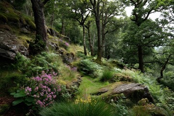 Poster - Lush woodland path with vibrant wildflowers in a serene forest during an overcast day
