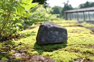 Fototapete - Rock resting on vibrant green moss by the garden path in bright sunlight