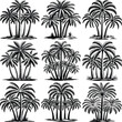 © Md Mithu Mia - Nine vintage black and white palm tree illustrations