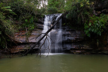 Canvas Print - scenic view of waterfall in the woodland.