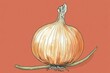 © Sudipta - An onion with layers, hand-drawn in a whimsical, child-friendly coloring book style