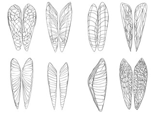 Poster - the illustration features doodle wings, including hand-drawn angel flight feathers, elegant angel wi