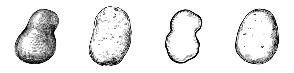 Poster - Icon set featuring various potato shapes in detailed illustrations suitable for culinary designs and graphic projects