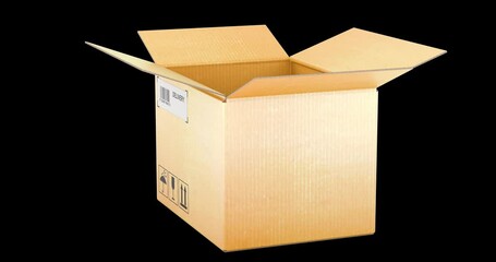 Poster - Opened empty parcel. 3D Video Animation, Seamlessly Loopable. 3D rendering isolated on transparent background