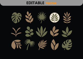 Poster - Collection of minimalist botanical leaf illustrations