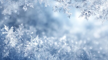Wall Mural - Close-up of snow-covered tree branches in a bright winter landscape with soft daylight.