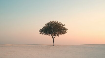 Poster - Solitary Tree Against an Expansive Landscape During Sunrise with Soft Pastel Hues and Gentle Atmospheric Light, Evoking Calmness and Serenity in Nature