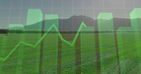 Poster - After grid overlay appearing green bars rising with polyline tracing peaks visualizing data trends