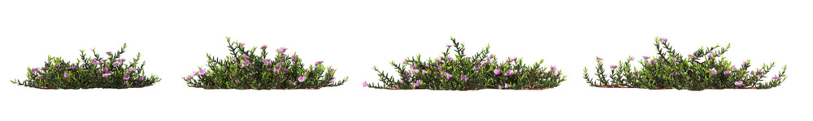 Fototapete - Cut out realistic greenery vine and creeper plants on transparent backgrounds. High quality 3d rendering. png format	
