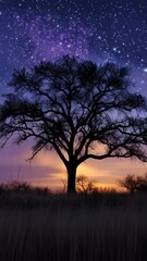 Wall Mural - silhouette of a bare tree set against a brilliant night sky filled with glowing stars and the soft c