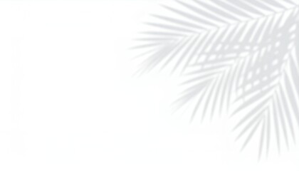 Poster - Elegant palm leaf shadow on a white surface, creating a minimalist and natural background for design, perfect for summer themes and backgrounds.. copy space text