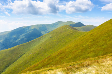 Wall Mural - mountain landscape with green meadows in summer. peaceful outdoor adventures in alpine scenery of bo