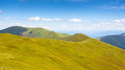 Wall Mural - mountain landscape with green meadows in summer. vacation season in grassy highlands of ukraine. sun