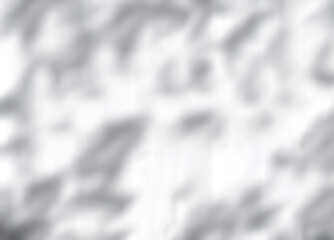 Leinwandbilder - Leaves shadow and light on white background Image Blurry Branches leaves with bright sunlight,Concept nature background branch tree shade, shadow use for multiply on studio mock up or interior design