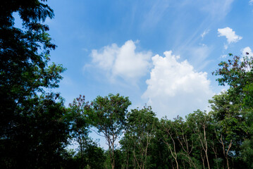 Wall Mural - clear blue sky background,clouds with background, blue sky background with tiny clouds. white fluffy