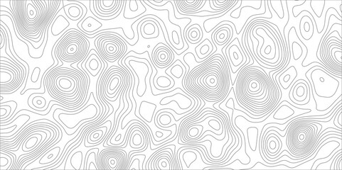Poster - Abstract background with topographic map white background. The stylized height of the topographic map contour in black lines. gradient multicolor wave curve lines banner background design.