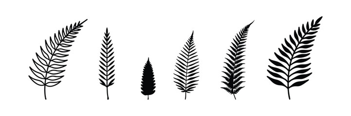 fern silhouettes, set of black fern leaves on white background.