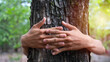 © Lahmz - Hands hugging a tree trunk in a forest, symbolizing love for nature, environmental awareness, and conservation. A powerful message of connection and sustainability.