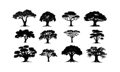 Jungle Tree Silhouette, Baobab Savanna, tropical forest clipart, black tree engraving, wild tree design, landscape elements, vector illustration, nature scene, safari environment.